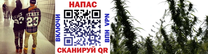 Продажа наркотиков Теберда Кодеин  МЕФ  Конопля  АМФ 