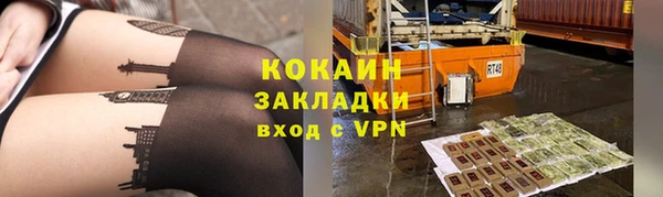 шишки Балабаново