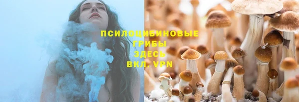 шишки Балабаново