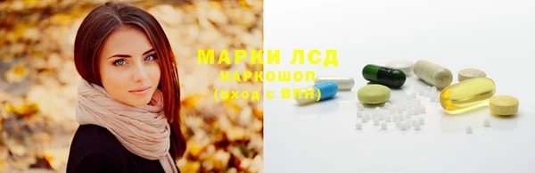 стаф Балахна