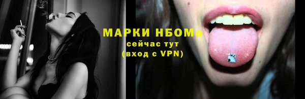 стаф Балахна